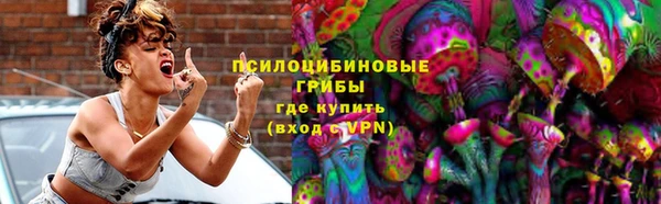 ГАЛЛЮЦИНОГЕННЫЕ ГРИБЫ Алзамай