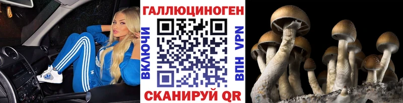 сколько стоит  блэк спрут ссылки  Галлюциногенные грибы мицелий  Макушино 
